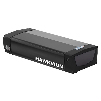 Rear Rack 48V 20.8Ah Ebike Battery