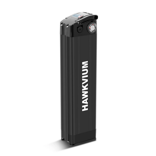 Silver Fish 48V 15.6Ah Ebike Battery Black
