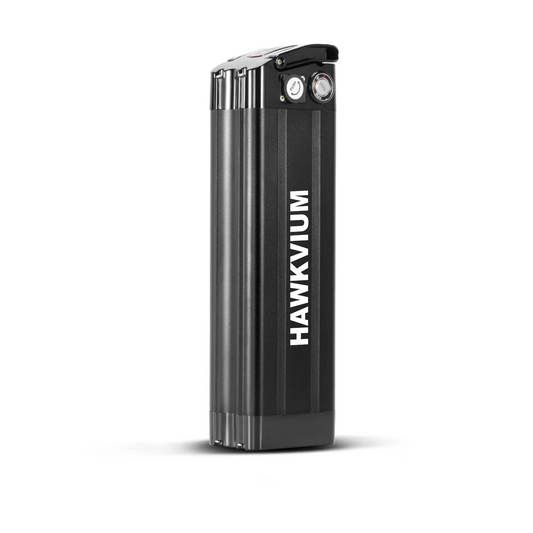 Black Silver Fish 36V 15Ah  Ebike Battery