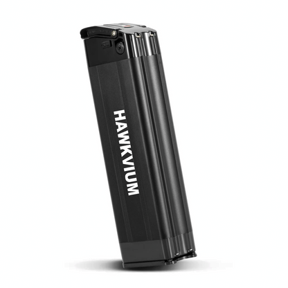Black Silver Fish 48V 13Ah Ebike Battery