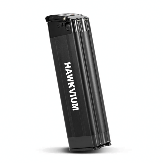 Black Silver Fish 48V 13Ah Ebike Battery