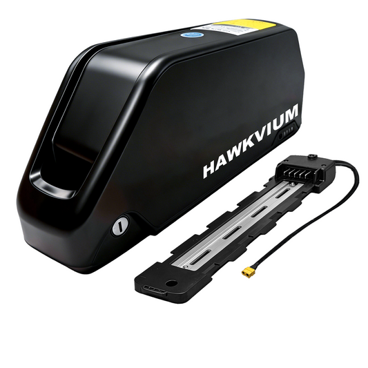 Polly DP-7 48V 25Ah Ebike Battery