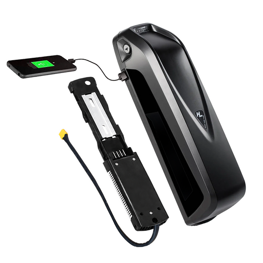 Hailong 48V 15Ah Ebike Battery