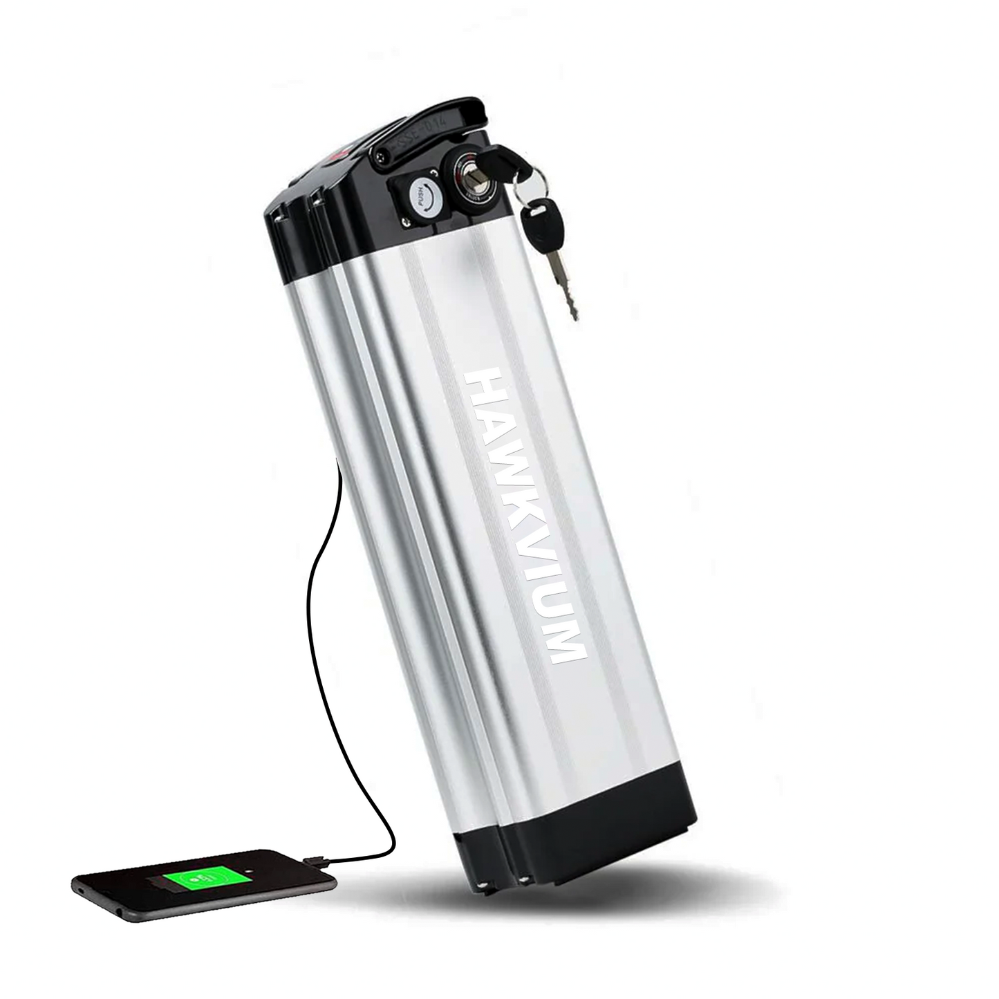 Silver Fish 36V 13Ah Ebike Battery