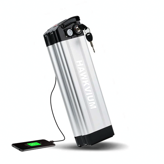 Silver Fish 36V 13Ah Ebike Battery