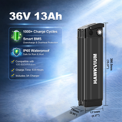 Black Silver Fish 36V 13Ah Ebike Battery