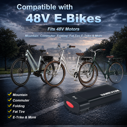 Rear Rack 48V 13Ah Ebike Battery
