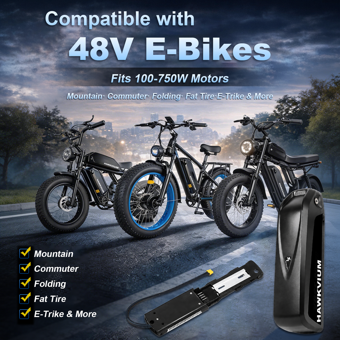 Hailong 48V 15Ah Ebike Battery