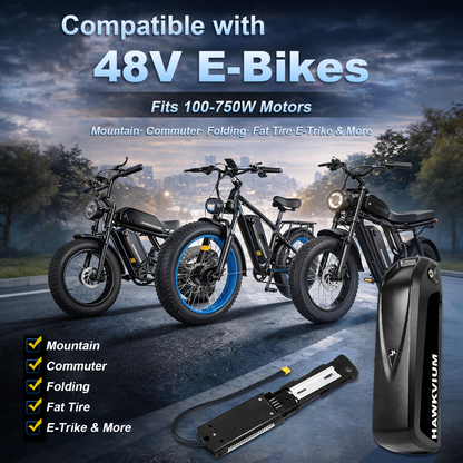Hailong 48V 15Ah Ebike Battery