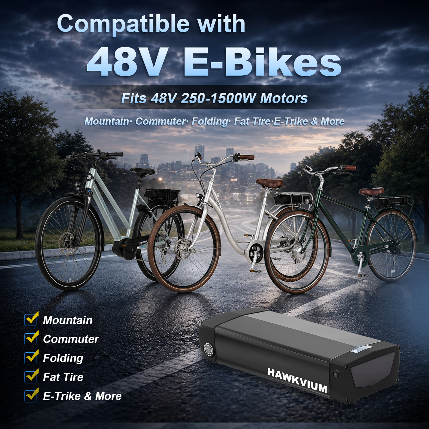 Rear Rack 48V 20.8Ah Ebike Battery