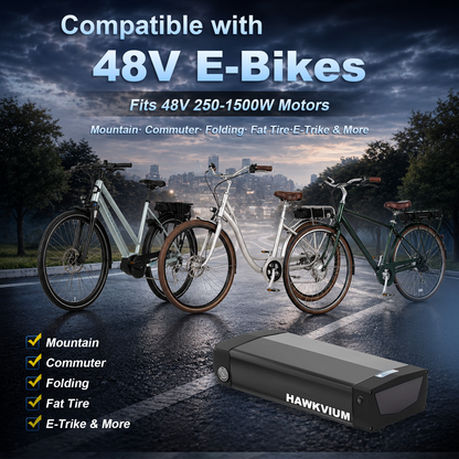 Rear Rack 48V 20.8Ah Ebike Battery