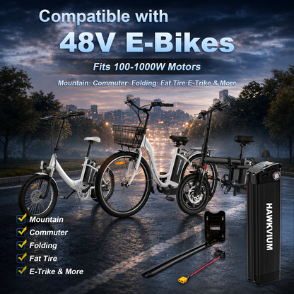 Silver Fish 48V 15.6Ah Ebike Battery Black
