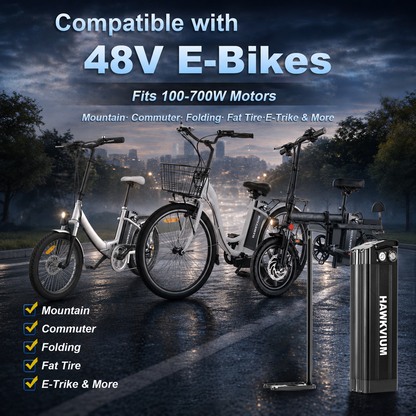 Black Silver Fish 48V 13Ah Ebike Battery