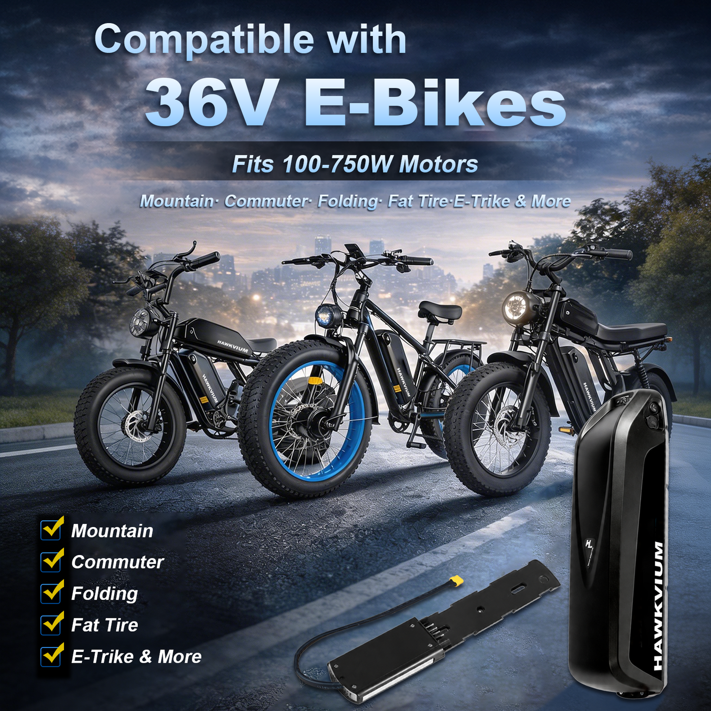 Hailong 36V 13Ah Ebike Battery