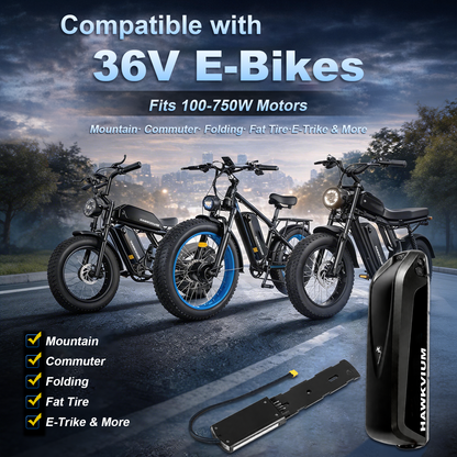 Hailong 36V 13Ah Ebike Battery