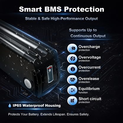Black Silver Fish 36V 13Ah Ebike Battery